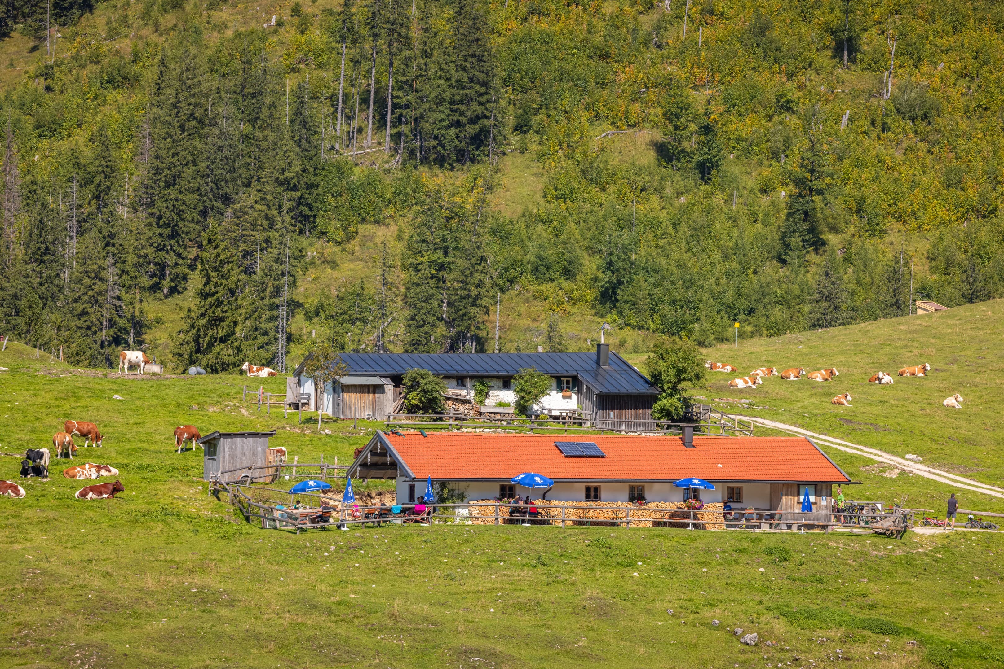Jochbergalmen